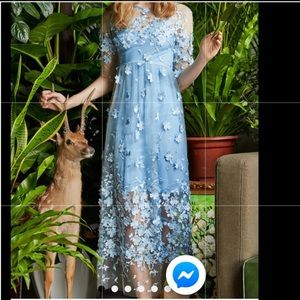 Blue Embroidered Dress